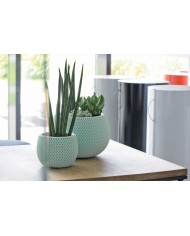 Kvetináč s vložkou SPLOFY Bowl 290x195 mm, šalvia