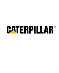 Caterpillar